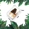 Macarrie 12 Pcs Insect Specimens for Kids Bug Collection Kit