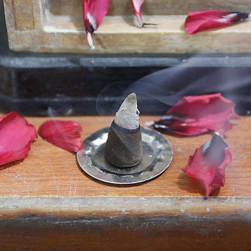 Bless-International White Sage 100%-Natural-Incense-Cones Handmade-Hand-Dipped Organic-Chemicals-Free for-Purification-Relaxation-Positivity-Yoga-Meditation The-Best-scents (10 Count)