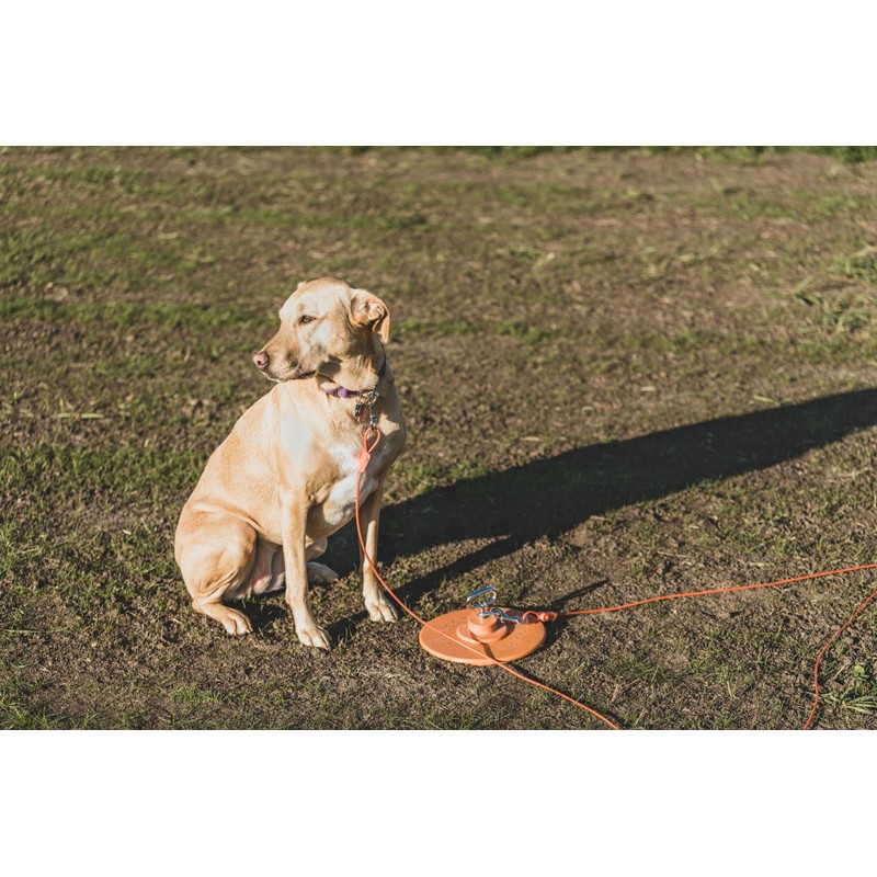 IntelliLeash Intelli-Stayk: Tailored for Soft Soils – Specialized Tie Out