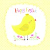 Easter Card Pack - Cute Chick