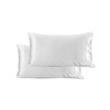 Hairworthy Silk Pillowcase for Hair and Skin - White Queen