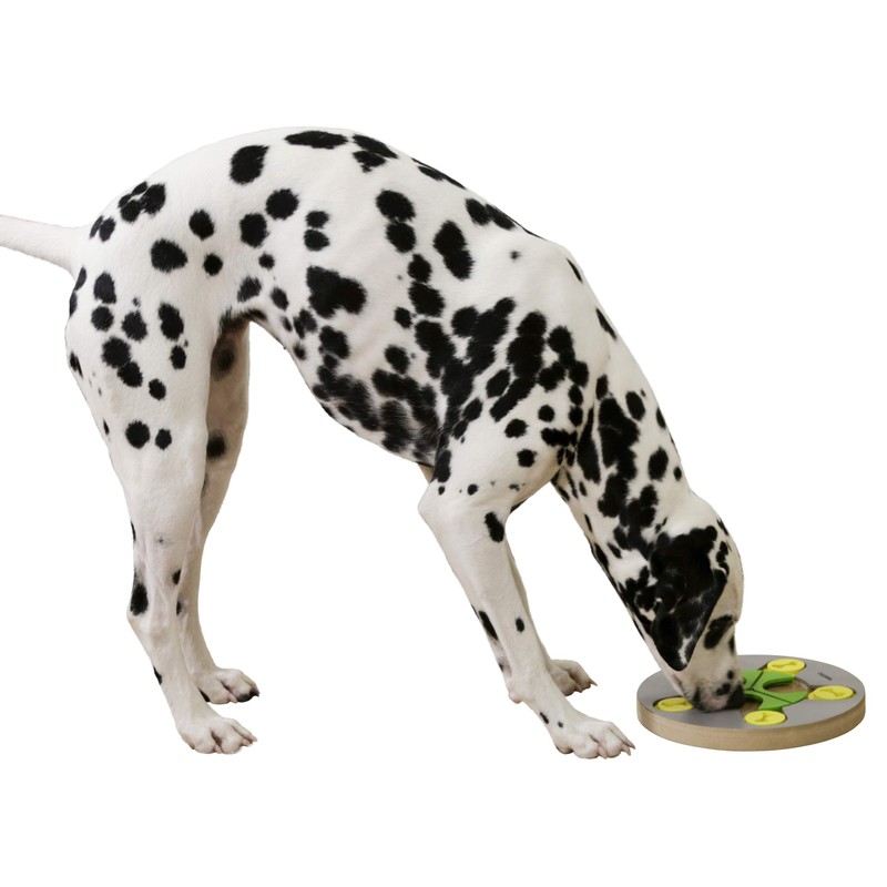 Kerbl 80814 Thinking and Learning Toy Dia 25 cm