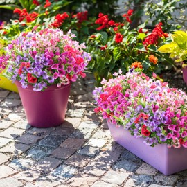 12 Bundles Artificial Pansy Fake Flowers Plants for Outside Decoration, Faux UV Resistant Realistic Silk Pansies Flowers with Eucalyptus Lavender for Home Front Door Porch Patio Garden Planter Pot