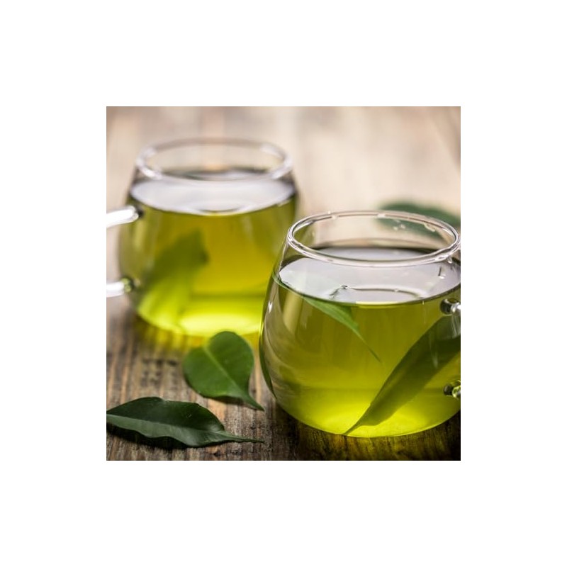 Caffè Piceno Teespresso Green Tea Capsules, compatible with Nespresso Original