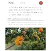 Flavor Life `ala Lehua Hair & Body Wash Nest 10.1