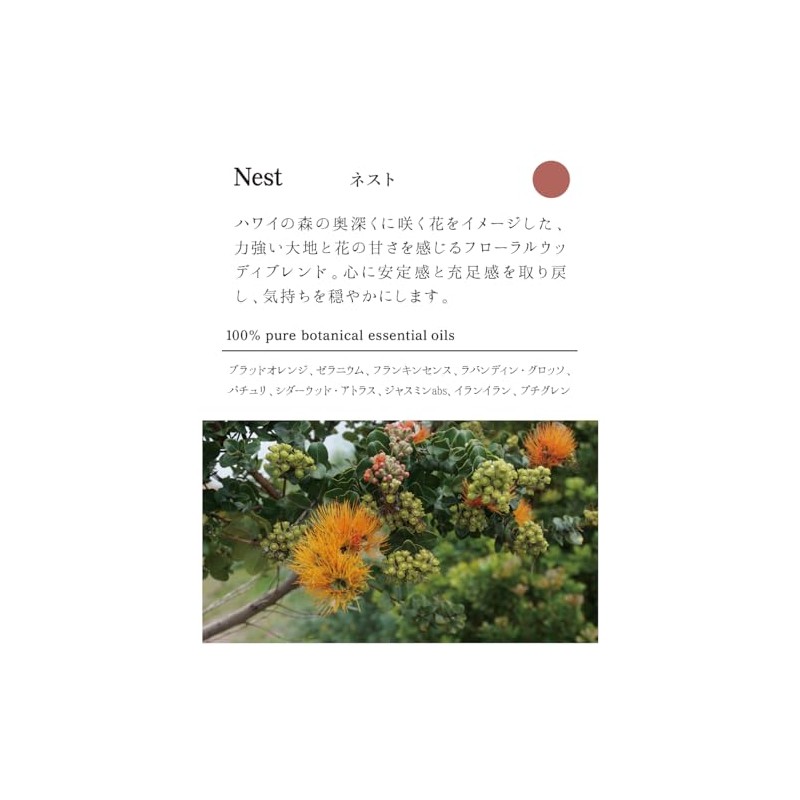 Flavor Life `ala Lehua Hair & Body Wash Nest 10.1