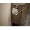 Symmons 353TPC-STN Dia Wall-Mounted Toilet Paper Holder with Cover in