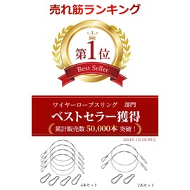 Croixx Wire Security Wire with Carabiner, Stainless Steel, Drop Prevention, Earthquake Protection, Wire Lock (Set of 2)