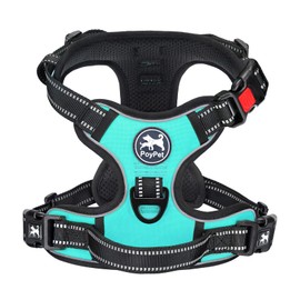 PoyPet No Pull Dog Harness with Neck Release Buckle, Reflective No-Choke Harness with 2 Leash Clip, Adjustable Soft Padded Pet Vest with Easy Control Handle for Small Dogs (Mint Blue,S)