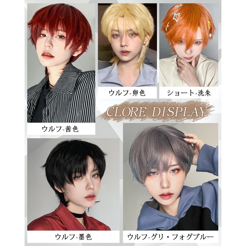 Peacoco Wig, Men's Men's Wig, Wolf, Natural, Easy, Handsome Cosplay,