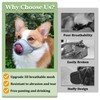 Mayerzon Dog Muzzle, Puppy Soft Mesh Muzzle for Small Medium
