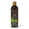Silk Elements MegaSilk Olive Shampoo