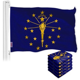 G128 5 Pack: Indiana State Flag | 3x5 Ft | LiteWeave Pro Series Printed 150D Polyester | Indoor/Outdoor, Vibrant Colors, Brass Grommets, Thicker and More Durable Than 100D 75D Polyester
