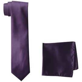 STACY ADAMS mens Classic Style Reg necktie, Plum, Regular US