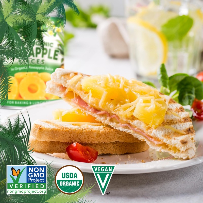 Native Forest Pineapple Slices - Pineapple Canned, Pineapple Organic, Canned