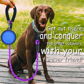 DOYOO Dog Leash 6 FT/10FT Thick Durable Nylon Rope - Comfortable Padded Handle Reflective Rope Dog Leash for Medium Large Dogs with Collapsible Pet Bowl and Garbage Bags