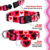 Native Pup Valentine's Day Heart Dog Collar