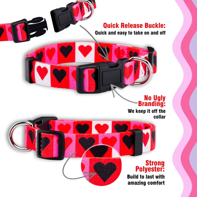 Native Pup Valentine's Day Heart Dog Collar