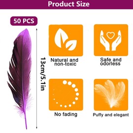 Pack of 50 Colourful Feathers for Crafts, Feather Decoration for DIY Earrings, Wedding, Dream Catcher, Headdress Feathers, School Crafts