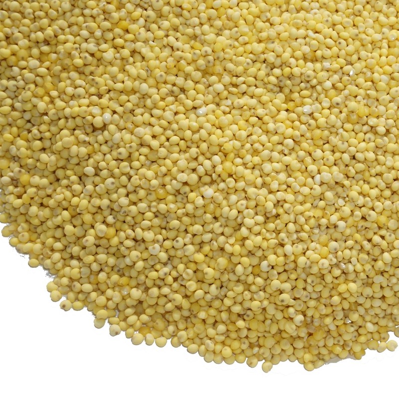Uruchiawa Foxtail Millet Bengal Grass Grain Rice, Millet, Rice, Wulchi,