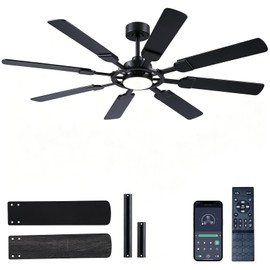 FUMLTP 62 inch Ceiling Fans with Lights and Remote Control, 8 Double-Sided Blades with 6-Speed Reversible DC Motor and Quiet & Timing Function, Black Large Ceiling Fan for Indoor & Outdoor Use