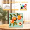 MISCER 4 Pack Paint by Numbers for Adults Beginner, Fruit