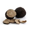 Dried Black Truffles Sliced 1oz, Premium Grade