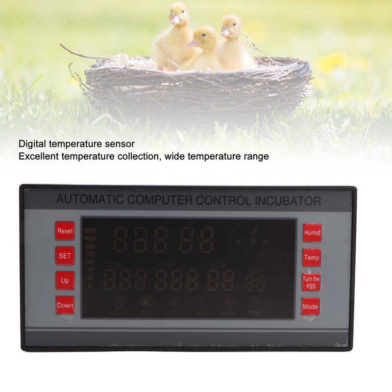 Incubator Temperature Controller Control Automatic Smart Incubation Thermostat AC160‑240V 50Hz
