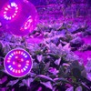 Grow Light Bulbs for Indoor Plants - Full Spectrum E26