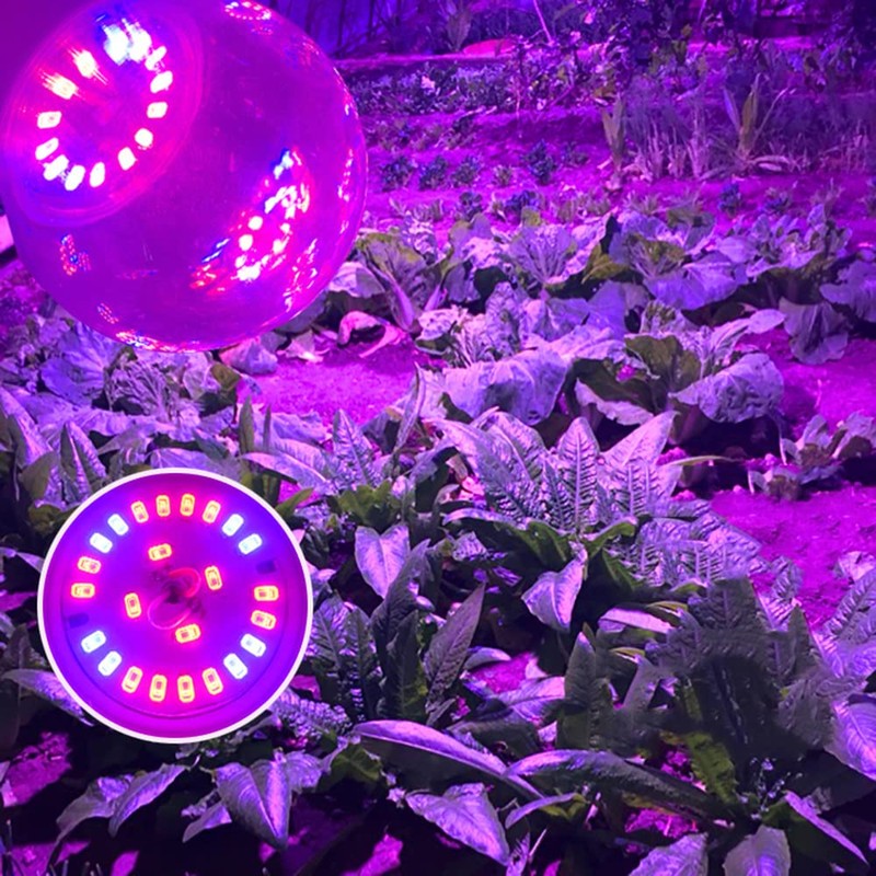 Grow Light Bulbs for Indoor Plants - Full Spectrum E26