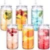 Blushtier 6 Pack Acrylic Mason Jars with Lids and Straws