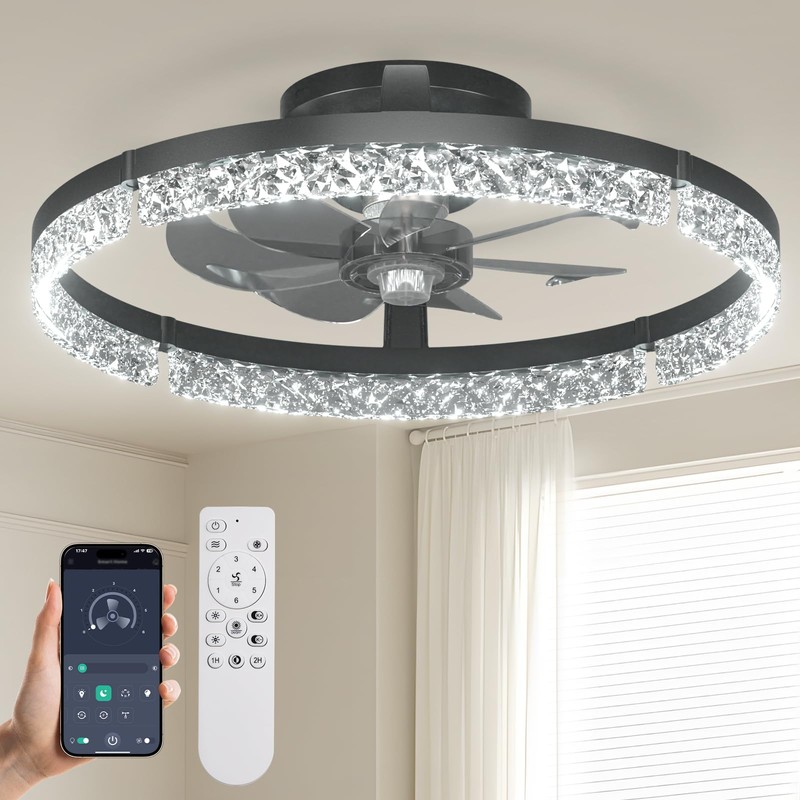 Passky 19.7” Low Profile Ceiling Fan with Lights and Remote,