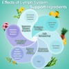 AuranC-H Lymph System Support Supplement - Lymphatic Drainage Supplement with