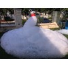 Foam Powder - Great for The Skeptic who Want to