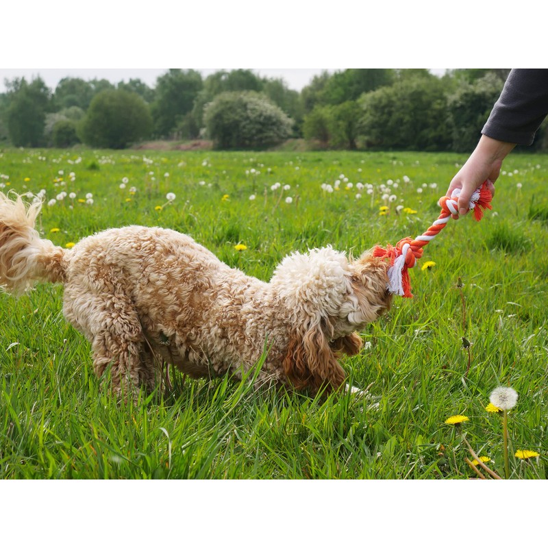 Rosewood Double Tug Rope Toy For Dogs, multi