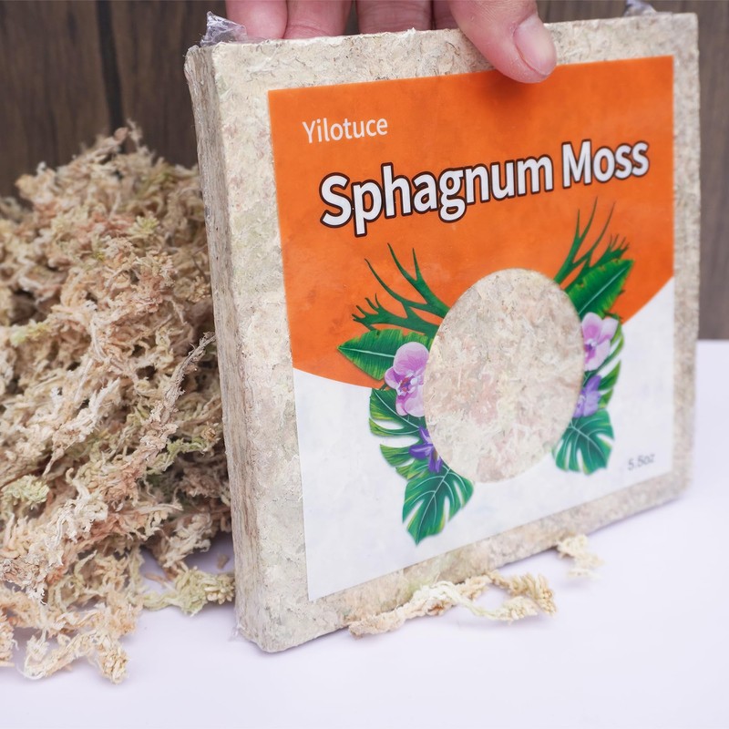 Yilotuce 5.5oz Sphagnum Moss for Plants, Premium Compressed Sphagnum Moss