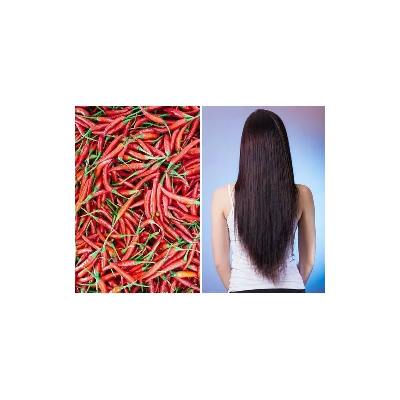 2 Shampoo Chile Y Romero Anti Caída Y Crecimiento Cabello