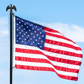 NQ Flag Pole Eagle Topper Ornament, Aluminum Alloy Eagle Finial for 20'/25'/30' Telescopic/Sectional Flagpole（Black,7inch）