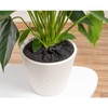 reer 83011 Plant Protection Net Prevents Removal of Potting Soil