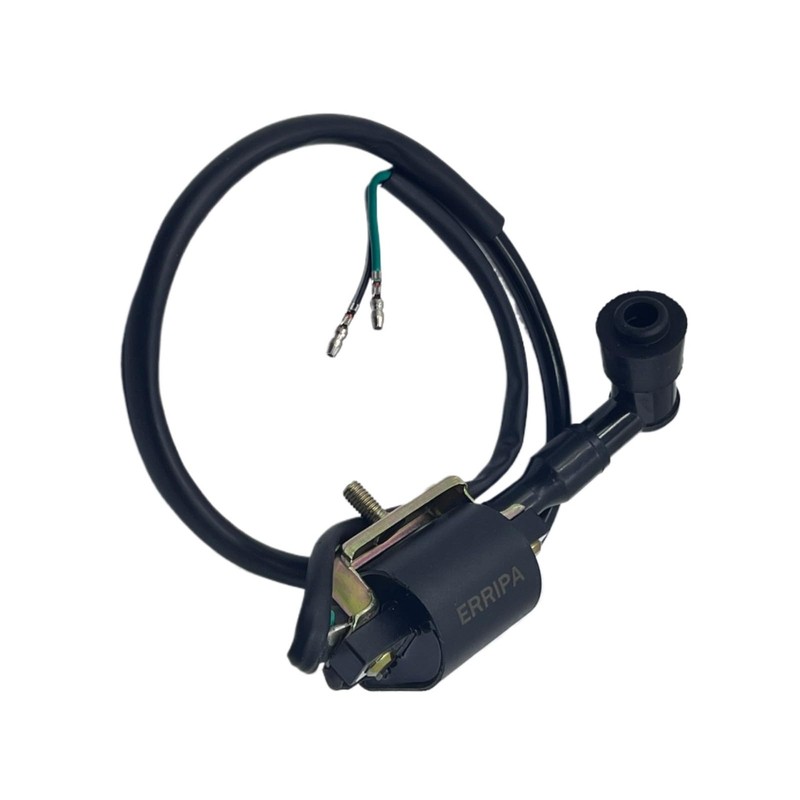 ERRIPA Ignition Coil 50cc 70cc 90cc 110cc 125cc ATV Apollo