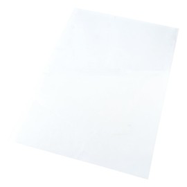 AS ONE Polyethylene Naphthalate Film (Teonex(R) )) 210mm x 297mm x 50μm (Pack of 10) /3-2161-03