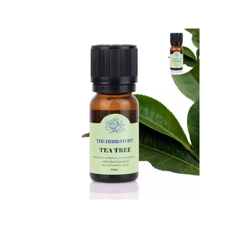 족욕 티트리 아로마 에센셜 오일 12ml Foot Bath Tea Tree