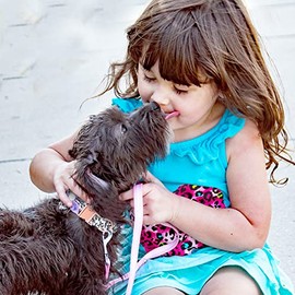 Kalevel Cat Collar, Soft Type, Multi Design, Cotton, Durable, Durable, Collar, Dog, Flower Pattern, Rhinestones, Glitter, Beautiful, Stylish, Name Engravable, For Birthdays, Photos, Holidays, Parties