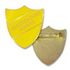 Headteacher Award Pin Badge, Metal enamel