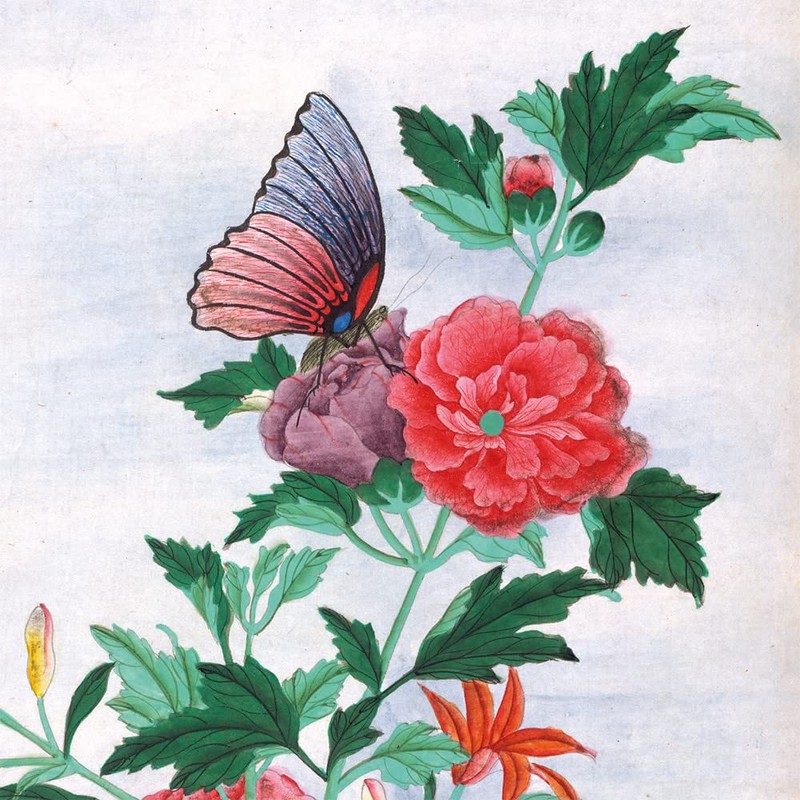 Museums & Galleries - 20 Notecards & Envelopes Boxed (Botanical