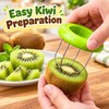 Kiwi Cutter and Peeler for Easy Fruit Preparation – Stainless