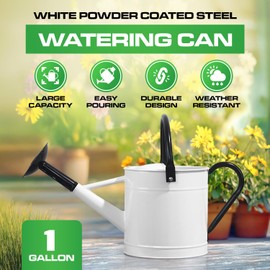 Plexon 1 Gallon Watering Can Metal, White Garden Metal Watering Can Outdoor, Indoor Metal Watering Can, Large Gardening Watering Pot, Black Galvanized Steel Handles and Removable Spray Spout