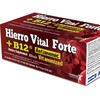 Gamma Hierro Vital Forte + B12 Vitamin Supplement, 21 Drinkable