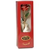 24k Gold Rose - Real Rose Dipped in Gold (2-Tone