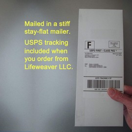 Against Abortion? Then Don't Have One Bumper Sticker